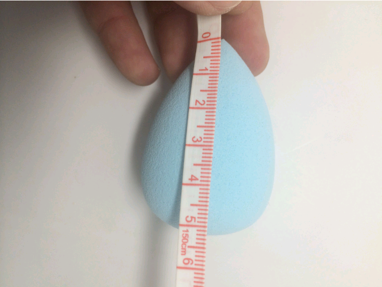 Makeup Sponge