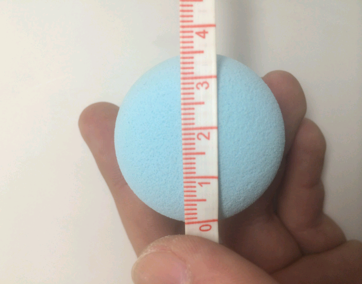 Makeup Sponge